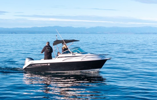 2024 Haines Hunter SF485 Sport Fisherman | Haines Hunter HQ